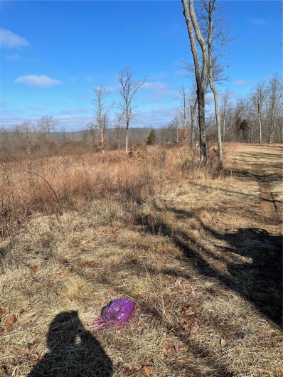 View of nature featuring a rural view