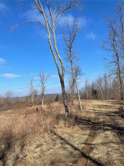 700 Lori Ln, Ironton, Missouri 63650, ,Farm,For Sale,Lori Ln,MAR24072156