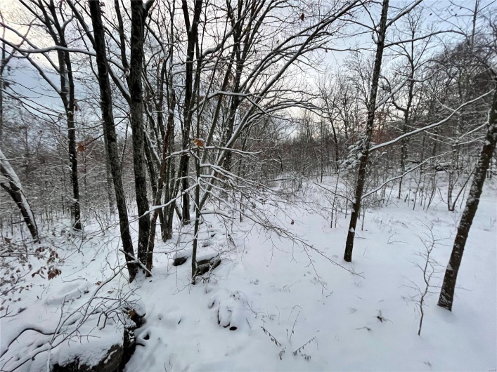 View of snowy view
