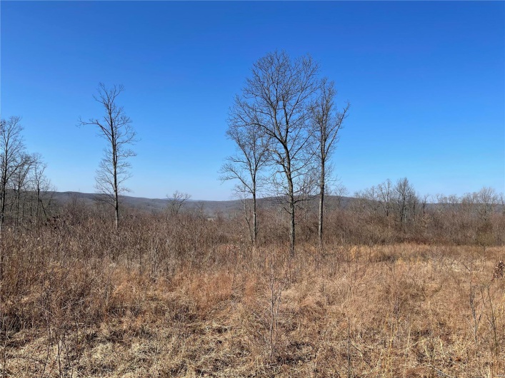 View of local wilderness with a rural view