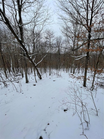 View of snowy yard