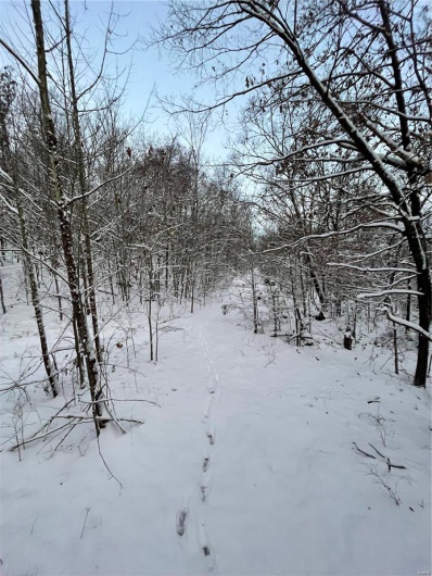 View of snowy view