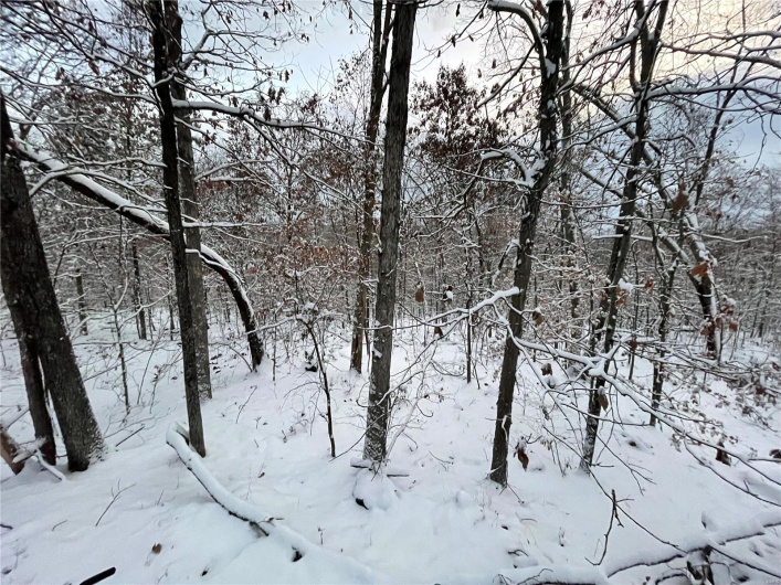 View of snowy view