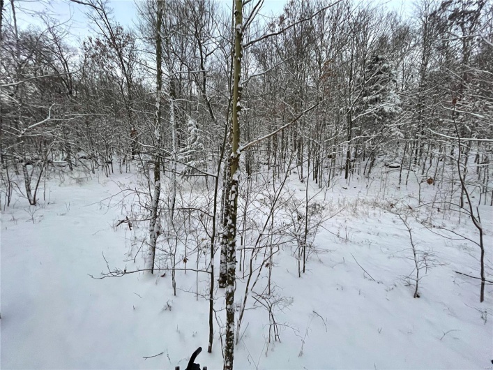 View of snowy view