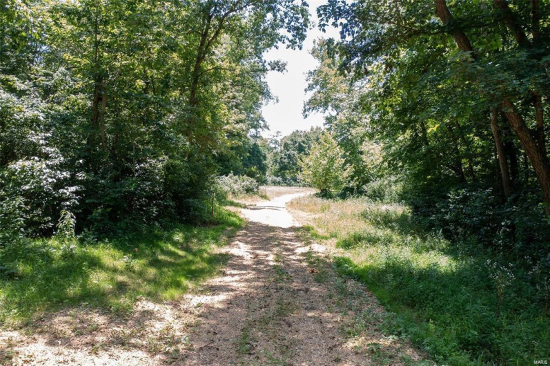View of road