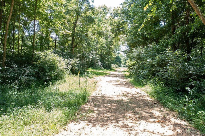 View of road
