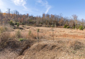 0 Mo-21, Ironton, Missouri 63650, ,Commercial Sale,For Sale,Mo-21,MAR24070771