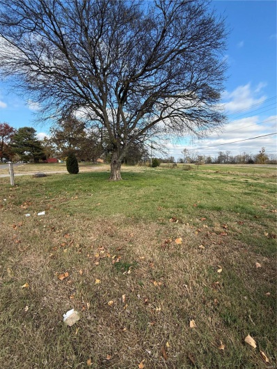 38 Matt Street, Sikeston, Missouri 63801, ,Land,For Sale,Matt,MAR24072858