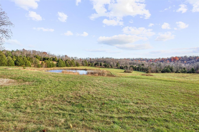 1121 Madison 92103, Fredericktown, Missouri 63645, 4 Bedrooms Bedrooms, 11 Rooms Rooms,3 BathroomsBathrooms,Residential,For Sale,Madison 92103,MAR24072864
