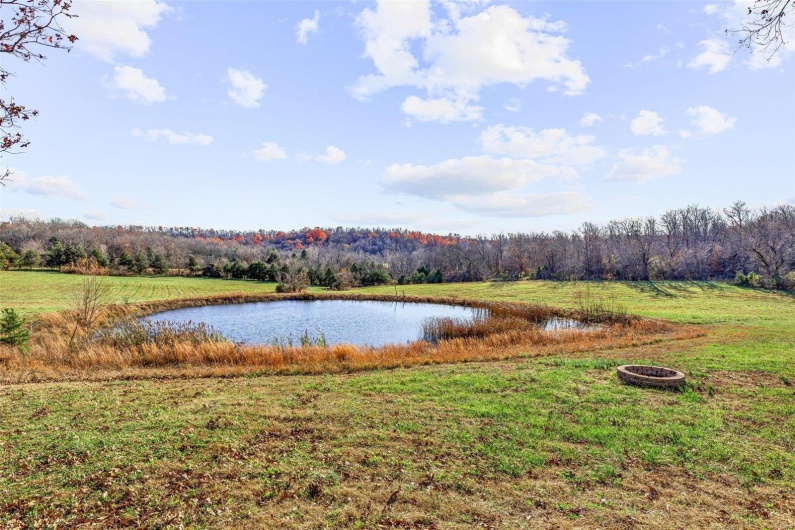 1121 Madison 92103, Fredericktown, Missouri 63645, 4 Bedrooms Bedrooms, 11 Rooms Rooms,3 BathroomsBathrooms,Residential,For Sale,Madison 92103,MAR24072864