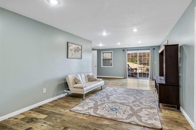 Lower Level Family Room