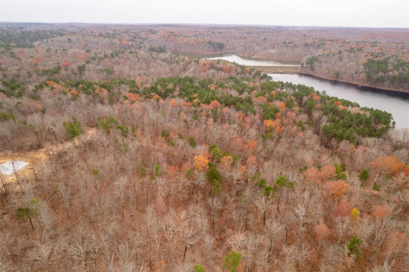 1 Gobbler Cove, Lowndes, Missouri 69351, ,Farm,For Sale,Gobbler Cove,MAR24073515