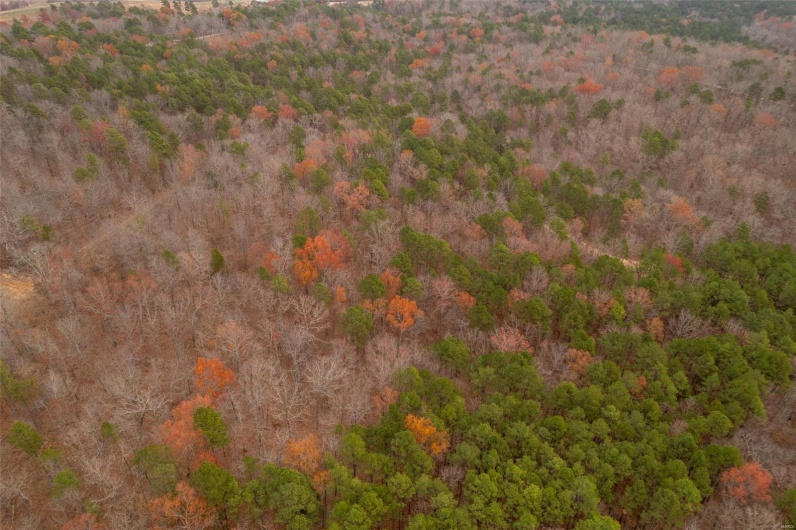 1 Gobbler Cove, Lowndes, Missouri 69351, ,Farm,For Sale,Gobbler Cove,MAR24073515
