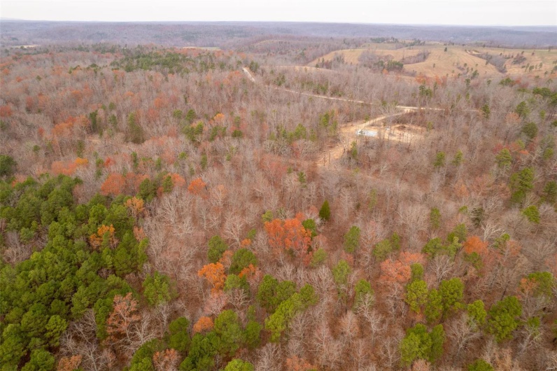 1 Gobbler Cove, Lowndes, Missouri 69351, ,Farm,For Sale,Gobbler Cove,MAR24073515