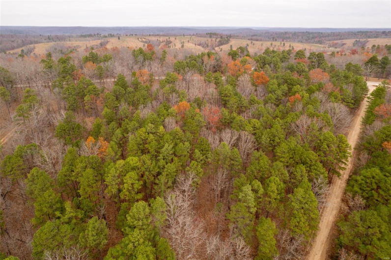 1 Gobbler Cove, Lowndes, Missouri 69351, ,Farm,For Sale,Gobbler Cove,MAR24073515