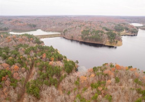 1 Gobbler Cove, Lowndes, Missouri 69351, ,Farm,For Sale,Gobbler Cove,MAR24073515