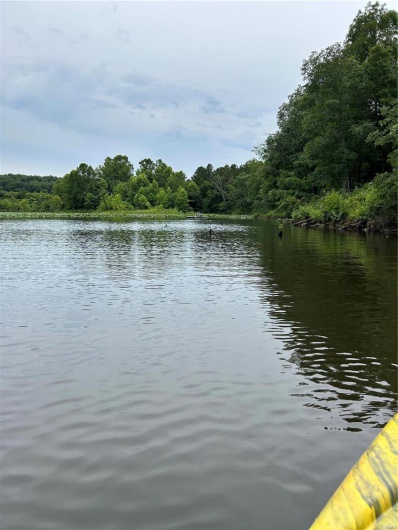 1 Gobbler Cove, Lowndes, Missouri 69351, ,Farm,For Sale,Gobbler Cove,MAR24073515