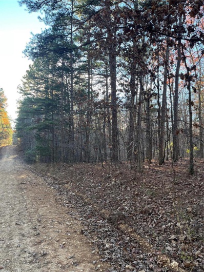 1 Gobbler Cove, Lowndes, Missouri 69351, ,Farm,For Sale,Gobbler Cove,MAR24073515