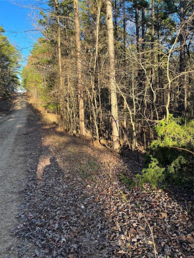 1 Gobbler Cove, Lowndes, Missouri 69351, ,Farm,For Sale,Gobbler Cove,MAR24073515