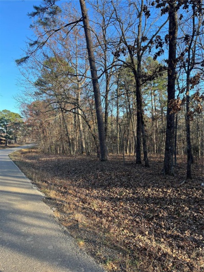 1 Gobbler Cove, Lowndes, Missouri 69351, ,Farm,For Sale,Gobbler Cove,MAR24073515