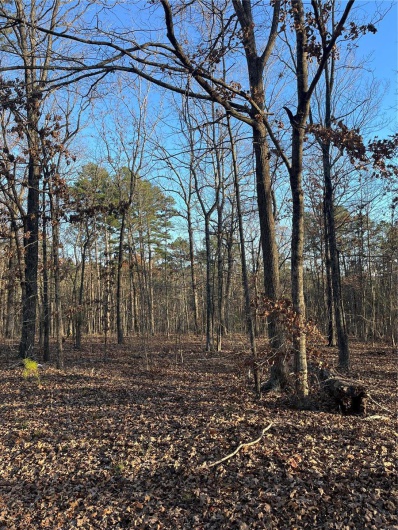 1 Gobbler Cove, Lowndes, Missouri 69351, ,Farm,For Sale,Gobbler Cove,MAR24073515