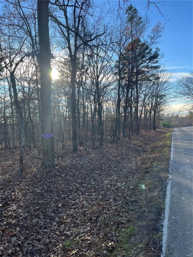 1 Gobbler Cove, Lowndes, Missouri 69351, ,Farm,For Sale,Gobbler Cove,MAR24073515