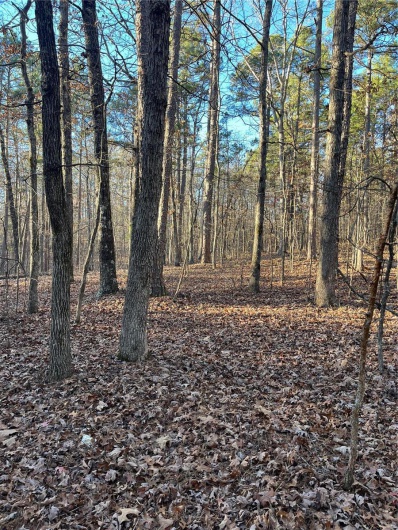 1 Gobbler Cove, Lowndes, Missouri 69351, ,Farm,For Sale,Gobbler Cove,MAR24073515