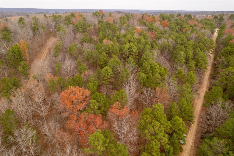 1 Gobbler Cove, Lowndes, Missouri 69351, ,Farm,For Sale,Gobbler Cove,MAR24073515