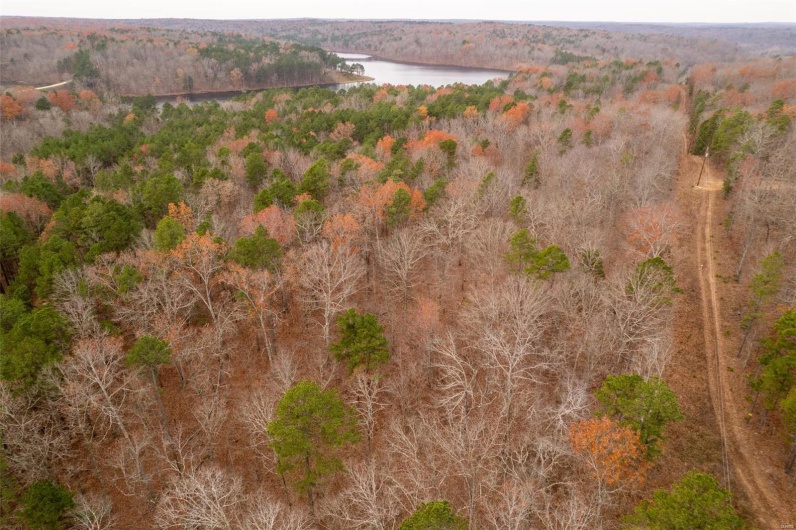 1 Gobbler Cove, Lowndes, Missouri 69351, ,Farm,For Sale,Gobbler Cove,MAR24073515