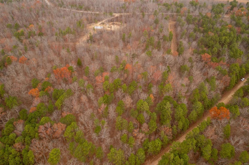 1 Gobbler Cove, Lowndes, Missouri 69351, ,Farm,For Sale,Gobbler Cove,MAR24073515