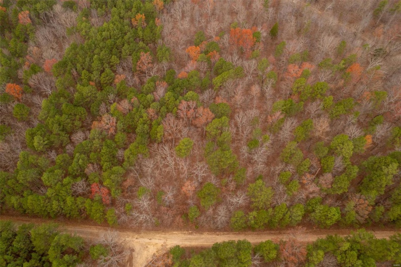 1 Gobbler Cove, Lowndes, Missouri 69351, ,Farm,For Sale,Gobbler Cove,MAR24073515