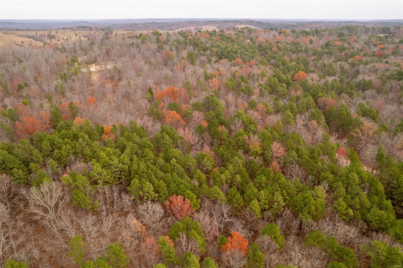 1 Gobbler Cove, Lowndes, Missouri 69351, ,Farm,For Sale,Gobbler Cove,MAR24073515