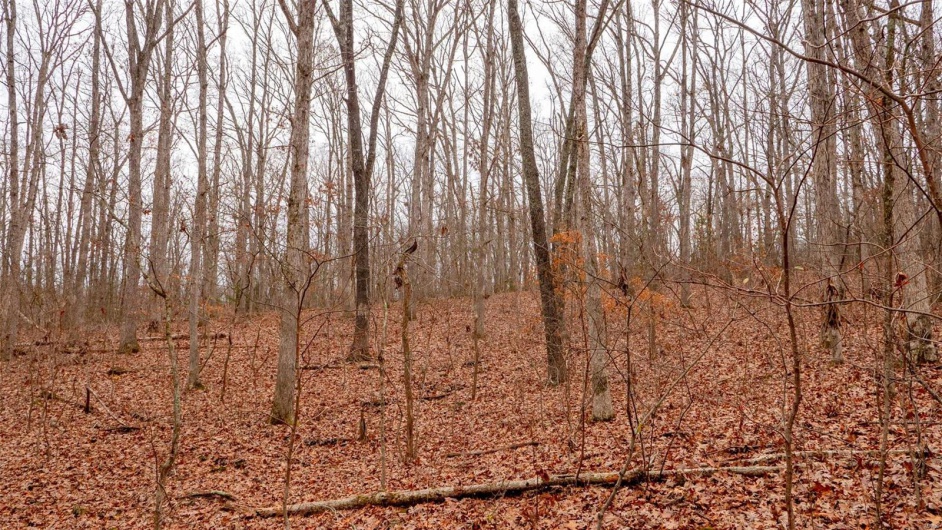 0 Estates Lane, Bonne Terre, Missouri 63628, ,Land,For Sale,Estates Lane,MAR24073685
