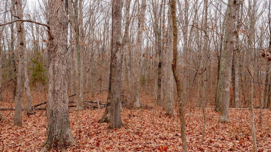 0 Estates Lane, Bonne Terre, Missouri 63628, ,Land,For Sale,Estates Lane,MAR24073685