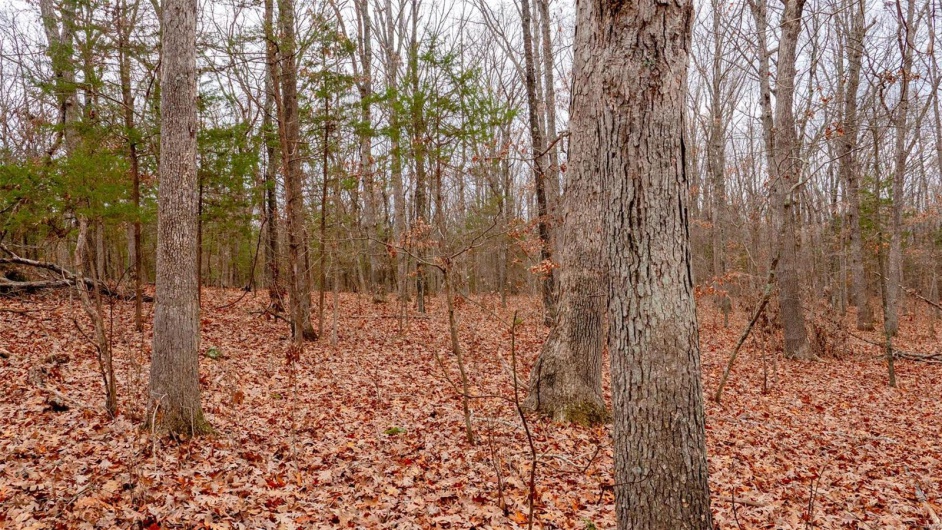 0 Estates Lane, Bonne Terre, Missouri 63628, ,Land,For Sale,Estates Lane,MAR24073685