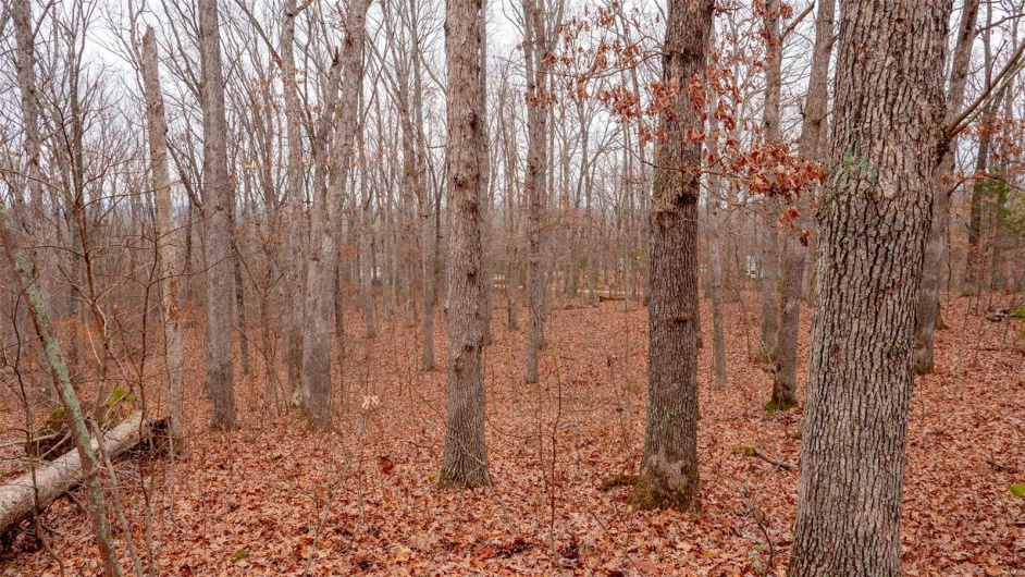 0 Estates Lane, Bonne Terre, Missouri 63628, ,Land,For Sale,Estates Lane,MAR24073685