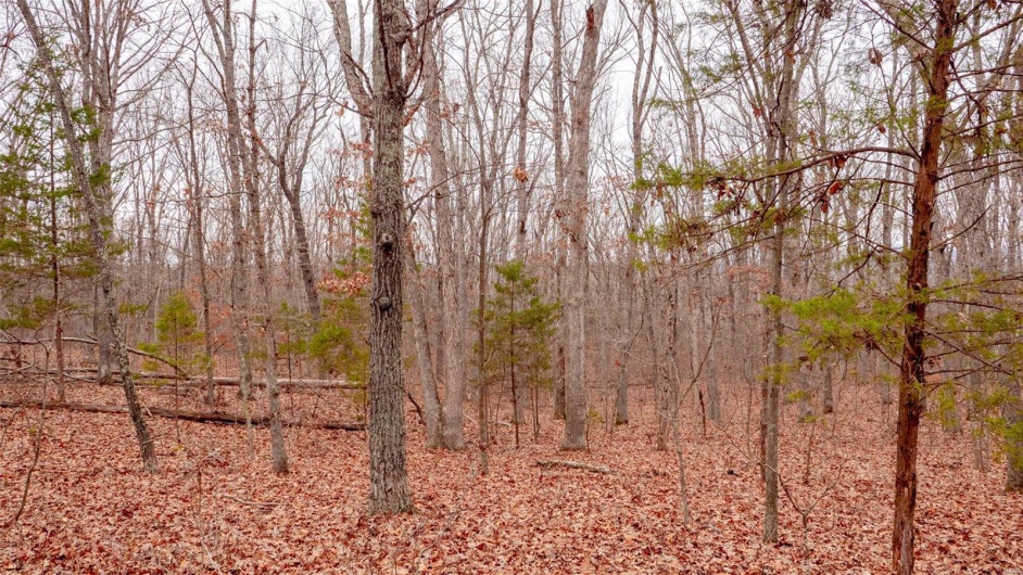 0 Estates Lane, Bonne Terre, Missouri 63628, ,Land,For Sale,Estates Lane,MAR24073685