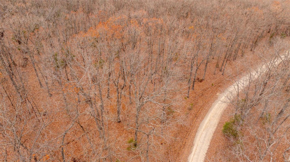 0 Estates Lane, Bonne Terre, Missouri 63628, ,Land,For Sale,Estates Lane,MAR24073685