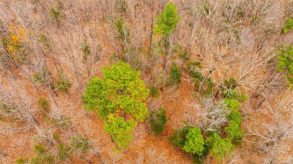 0 Estates Lane, Bonne Terre, Missouri 63628, ,Land,For Sale,Estates Lane,MAR24073685