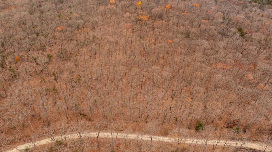 0 Estates Lane, Bonne Terre, Missouri 63628, ,Land,For Sale,Estates Lane,MAR24073685