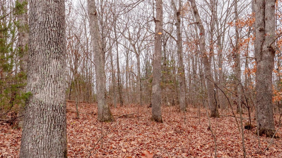 0 Estates Lane, Bonne Terre, Missouri 63628, ,Land,For Sale,Estates Lane,MAR24073685