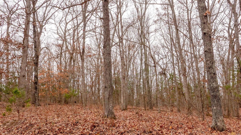 0 Estates Lane, Bonne Terre, Missouri 63628, ,Land,For Sale,Estates Lane,MAR24073685