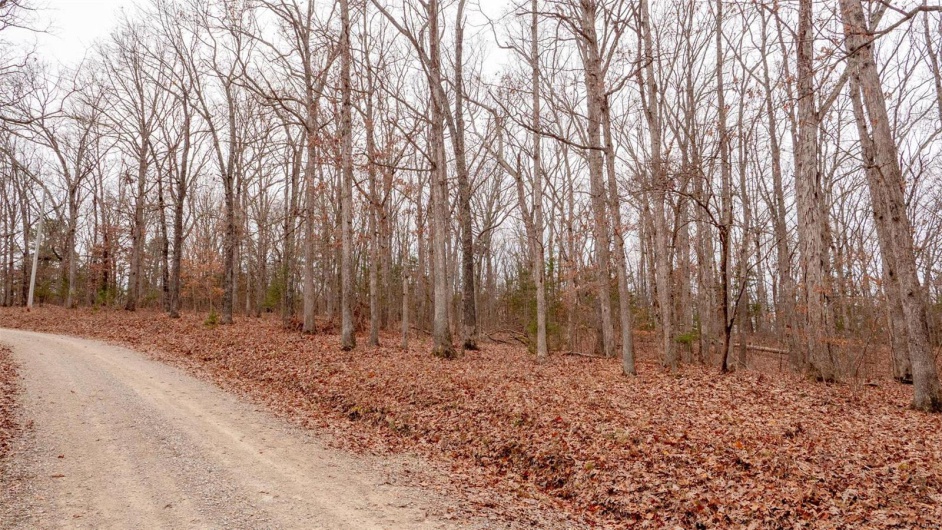 0 Estates Lane, Bonne Terre, Missouri 63628, ,Land,For Sale,Estates Lane,MAR24073685