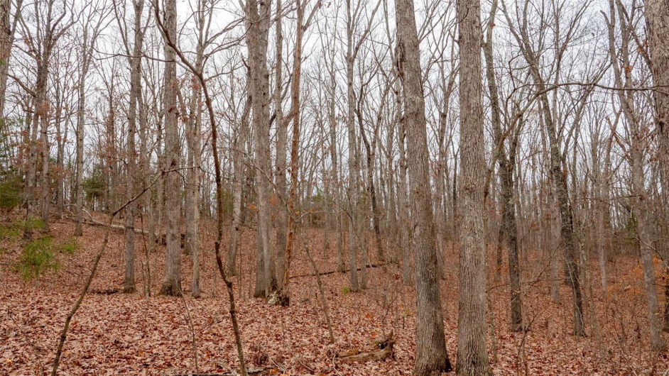 0 Estates Lane, Bonne Terre, Missouri 63628, ,Land,For Sale,Estates Lane,MAR24073685