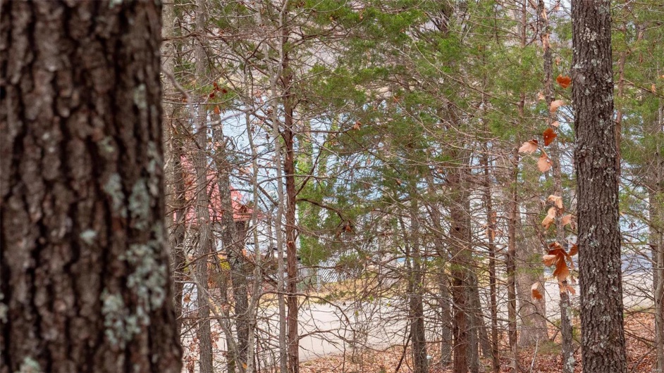 0 Rue Marseille, Bonne Terre, Missouri 63628, ,Land,For Sale,Rue Marseille,MAR24073727