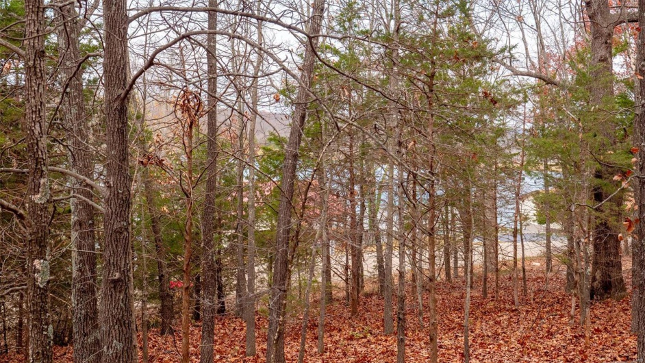 0 Rue Marseille, Bonne Terre, Missouri 63628, ,Land,For Sale,Rue Marseille,MAR24073727