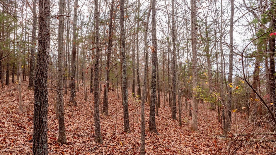 0 Rue Marseille, Bonne Terre, Missouri 63628, ,Land,For Sale,Rue Marseille,MAR24073727