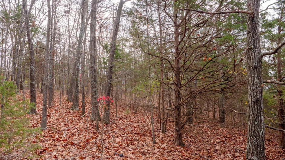 0 Rue Marseille, Bonne Terre, Missouri 63628, ,Land,For Sale,Rue Marseille,MAR24073727