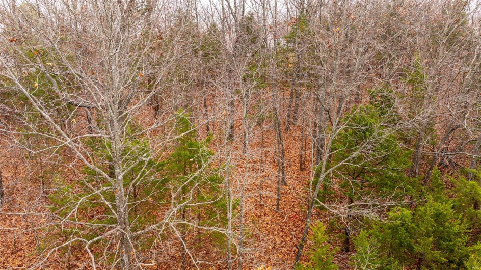 0 Rue Marseille, Bonne Terre, Missouri 63628, ,Land,For Sale,Rue Marseille,MAR24073727