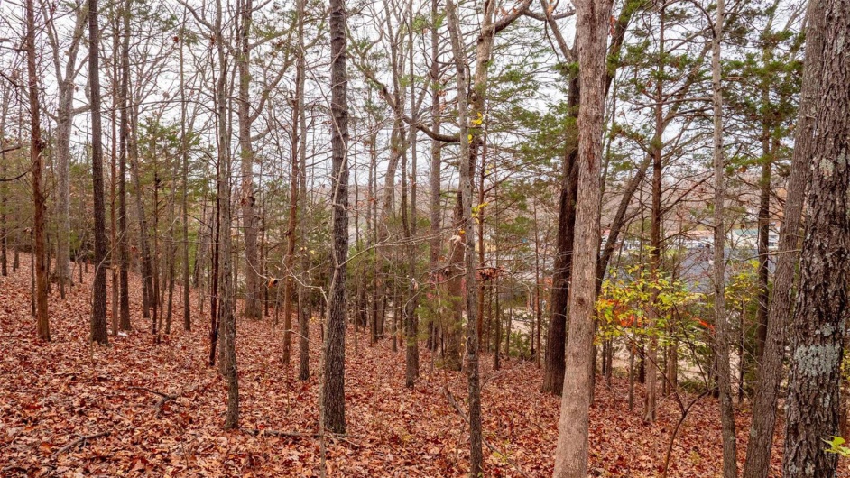 0 Rue Marseille, Bonne Terre, Missouri 63628, ,Land,For Sale,Rue Marseille,MAR24073727